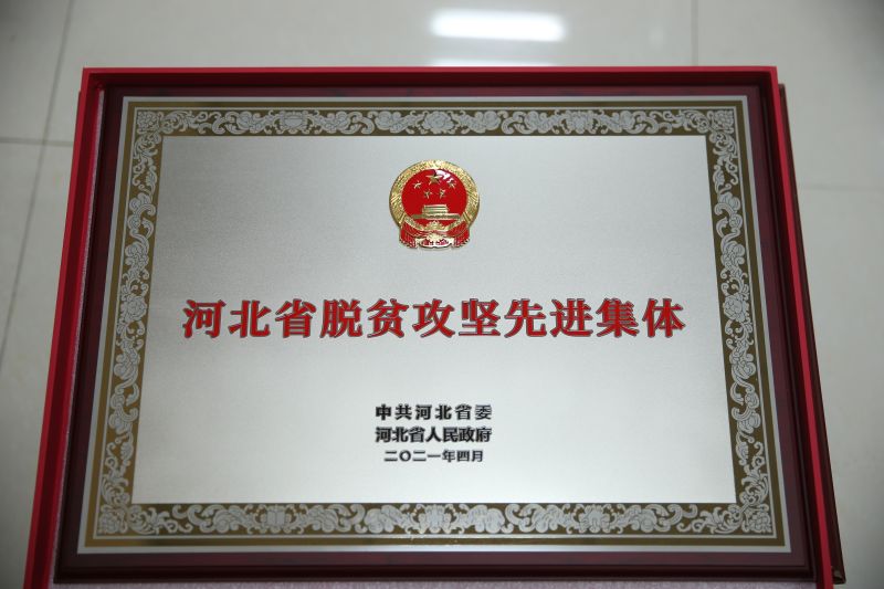 河北省脱贫攻坚先进集体——奖牌1